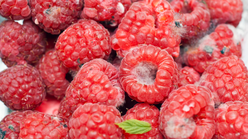 Pribúdajú po šesťdesiatke, poškodzujú okolie. 7 Pribudaju po sestdesiatke poskodzuju okolie