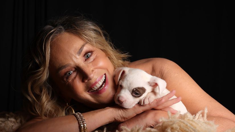 Kto si to sem do cert a sadol Sharon Stone nespoznali a vulgarne ju urazili Herecka im to vratila drsnou lekciou o slave