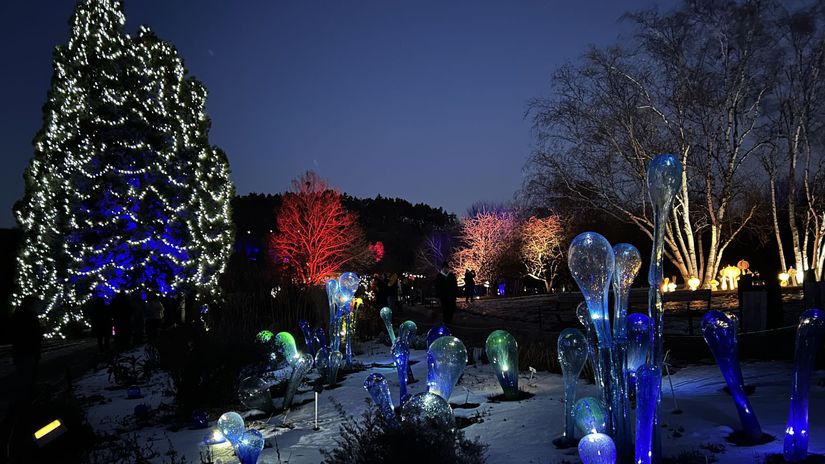 Kristalova zahrada v Prahe Zazraky od sklara ktory spolupracoval na filme s Danielom Craigom
