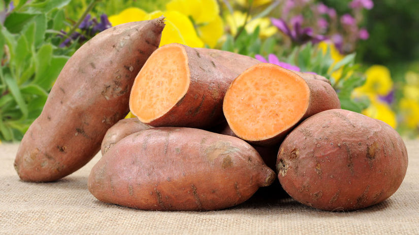 Bataty nie su len trend Pomahaju regulovat hladinu cukru v kri krvny tlak aj travenie Preco im dat sancu