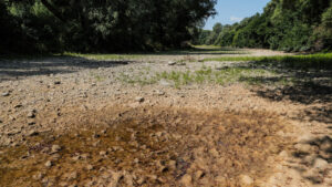 Klimatolog o suchu na Slovensku prechadzame z extremu do extremu moe sa to ete zhorsit rozhovor