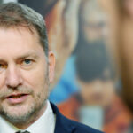 dvesto eur za odpoved potom posmeh na internete politolog tvrdo o matovicovej kampani volicom vesia na krk terce domace spravy