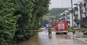 Extrémne počasie v USA: Ničivý živel vyhnal morského dravca do ulíc medzi ľudí