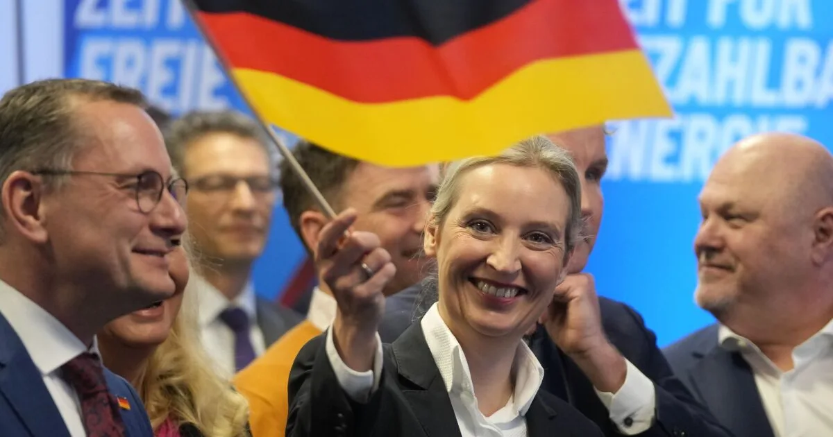 Hackeri zverejnili státisíce e-mailov AfD, strane hrozí kompromitácia 7 Hackeri zverejnili státisíce e-mailov AfD, strane hrozí kompromitácia