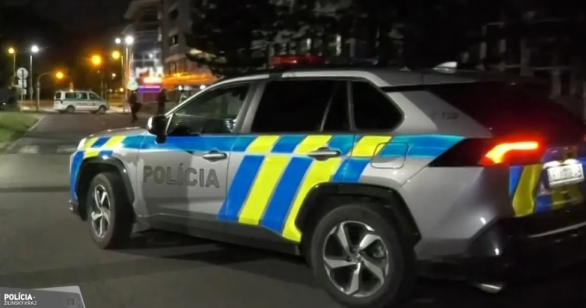 Mladík mal v žilinskej škole hroziť dobodaním spolužiakov. Sudkyňa ho poslala do väzby