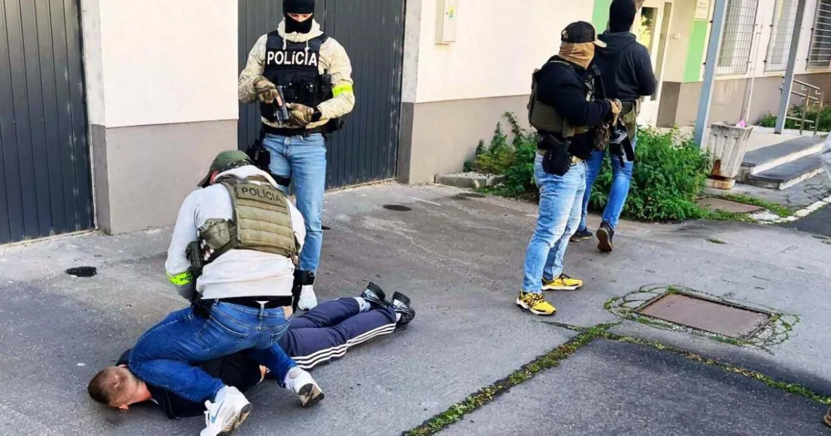 Muž mal prevádzať migrantov cez les za peniaze. V Košiciach ho zadržali, je vo väzbe