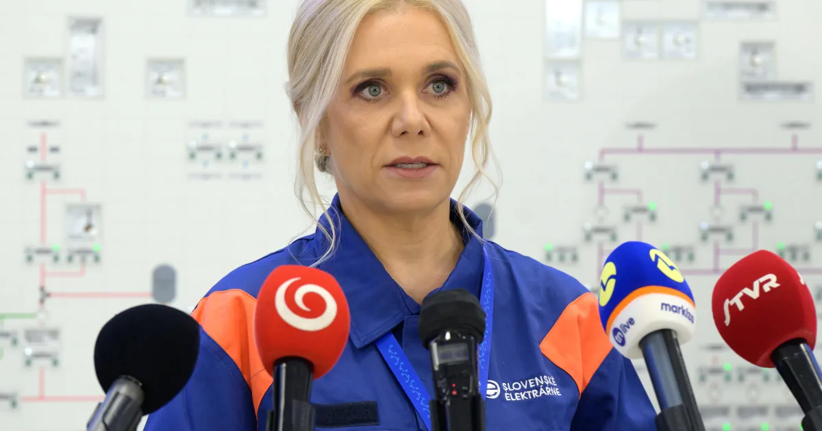 Saková prezradila cenu elektriny na rok 2027, vláda chce vyjednávať